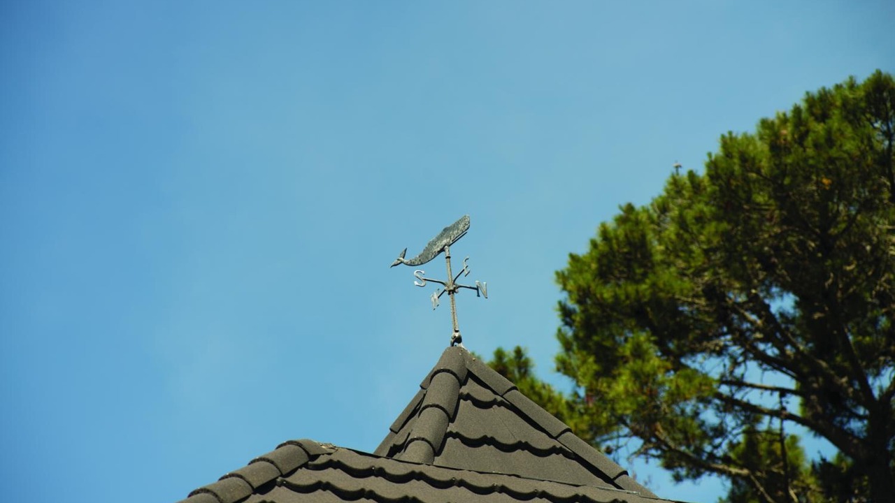 Photo of Outdoor in Golden Rectangle