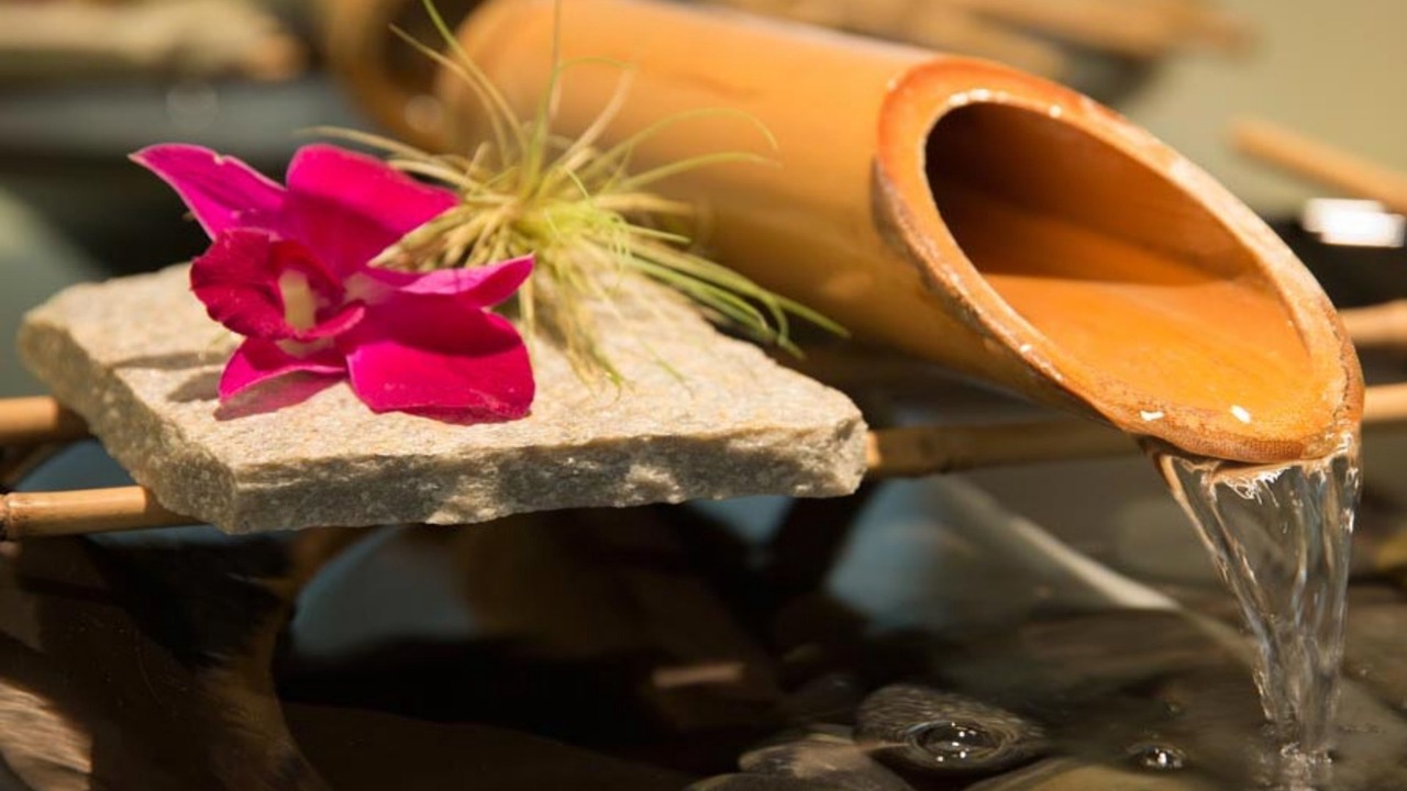 Photo of Others in Northwest Carmel