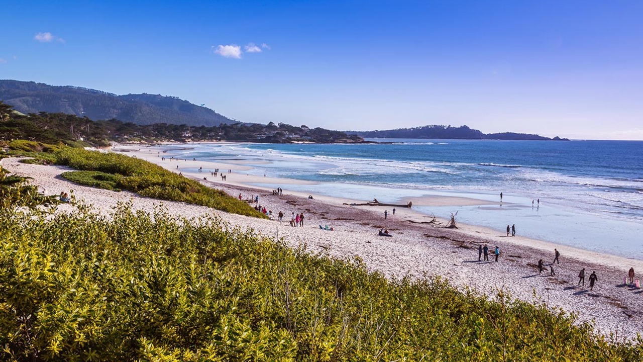 Photo of Others in Northwest Carmel