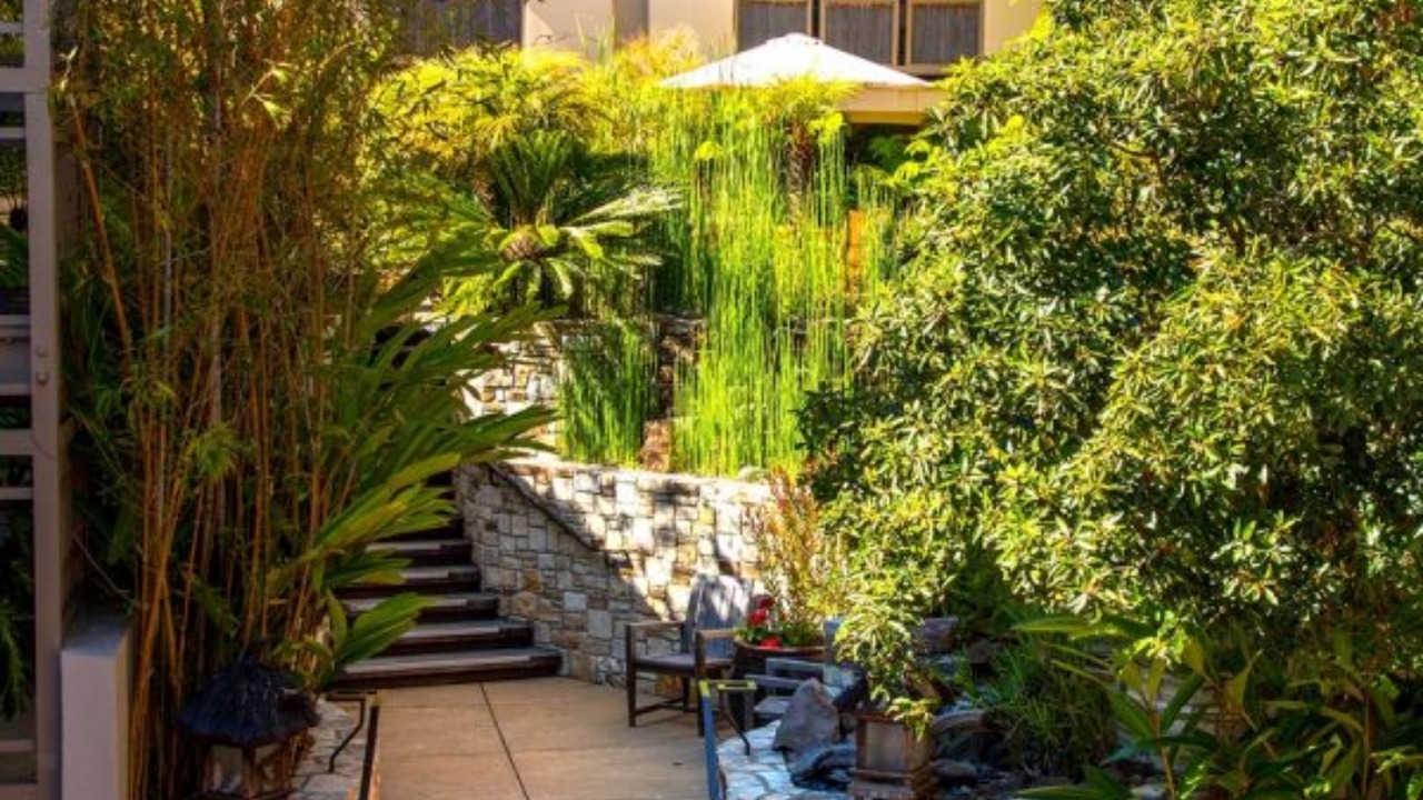 Photo of Outdoor in Northwest Carmel