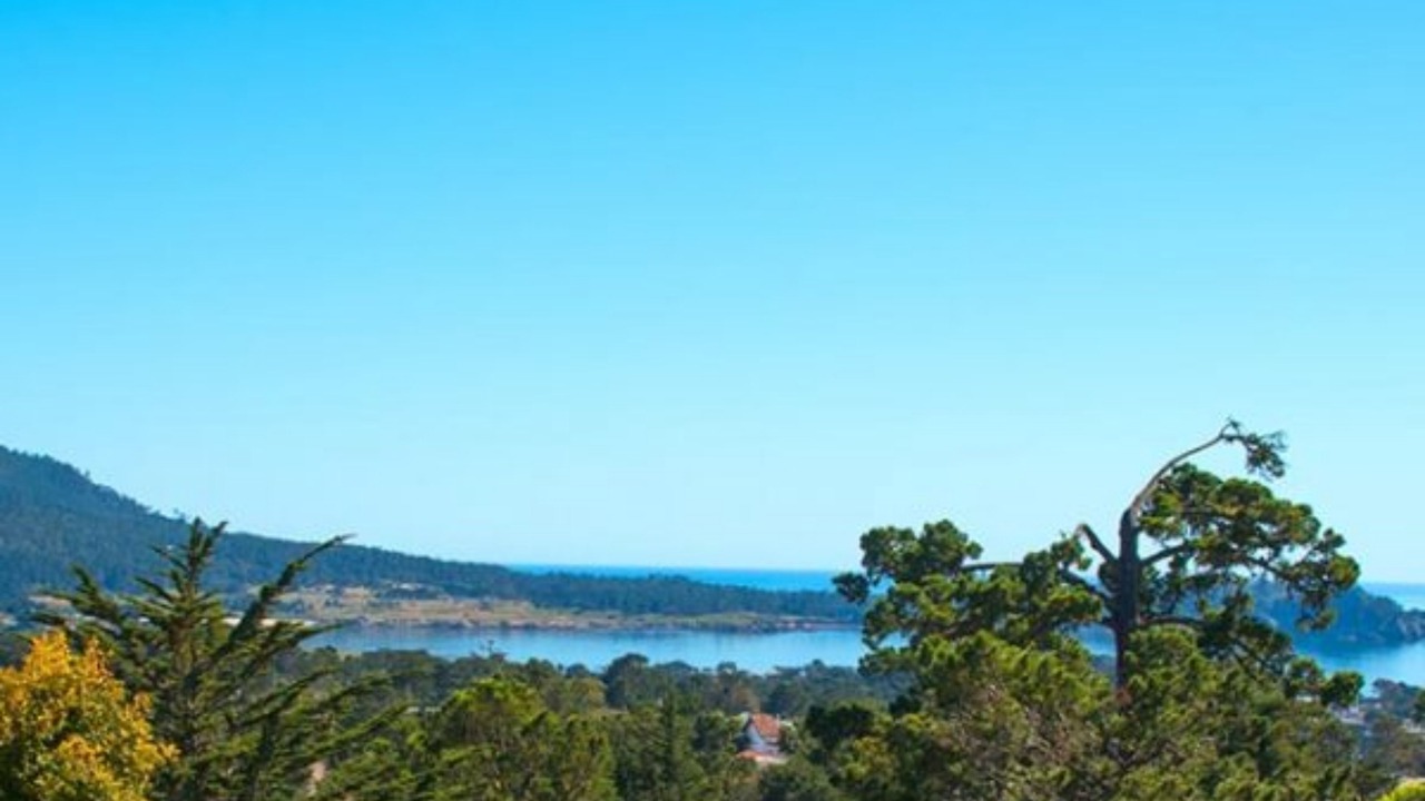 Photo of Others in Northwest Carmel