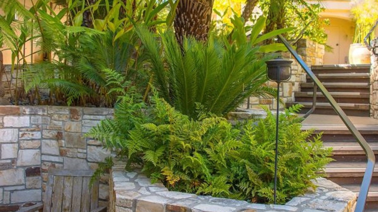 Photo of Outdoor in Northwest Carmel