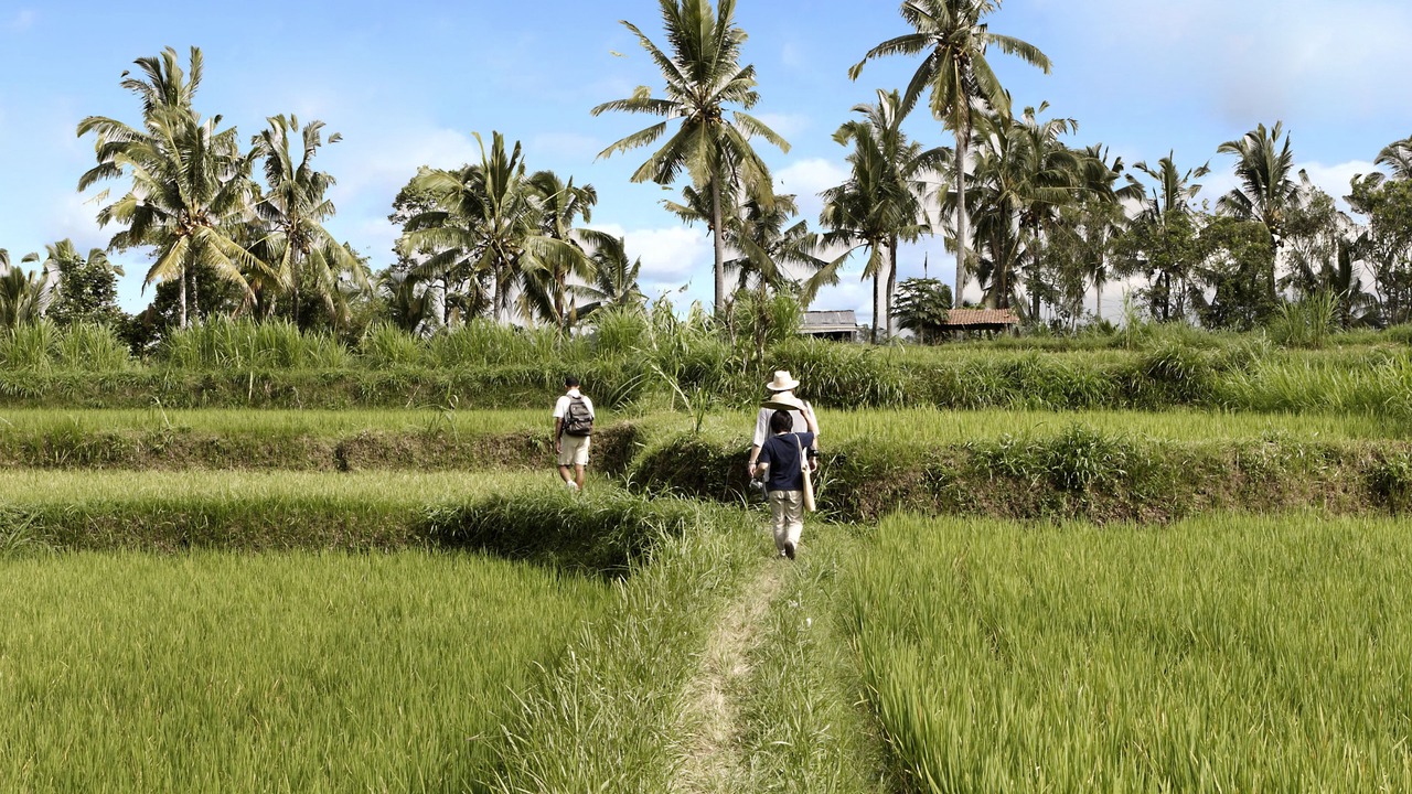 Photo of Outdoor in Buahan