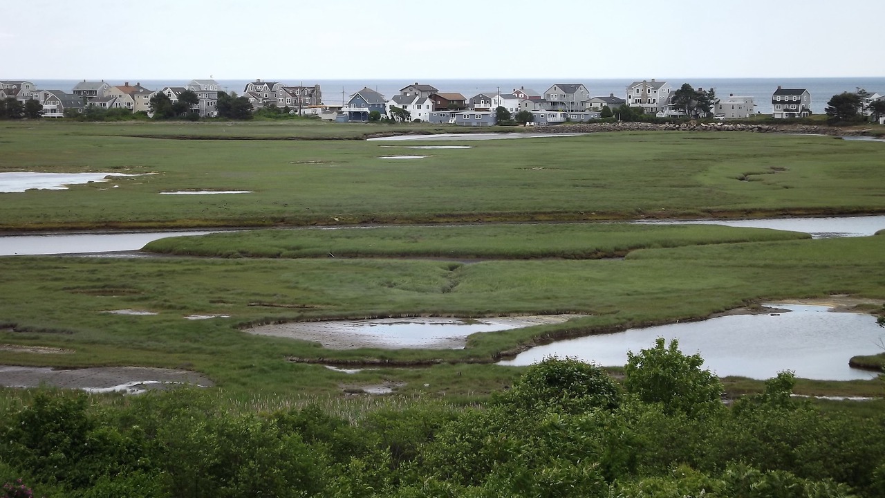 Photo of Others in Ogunquit - Wells