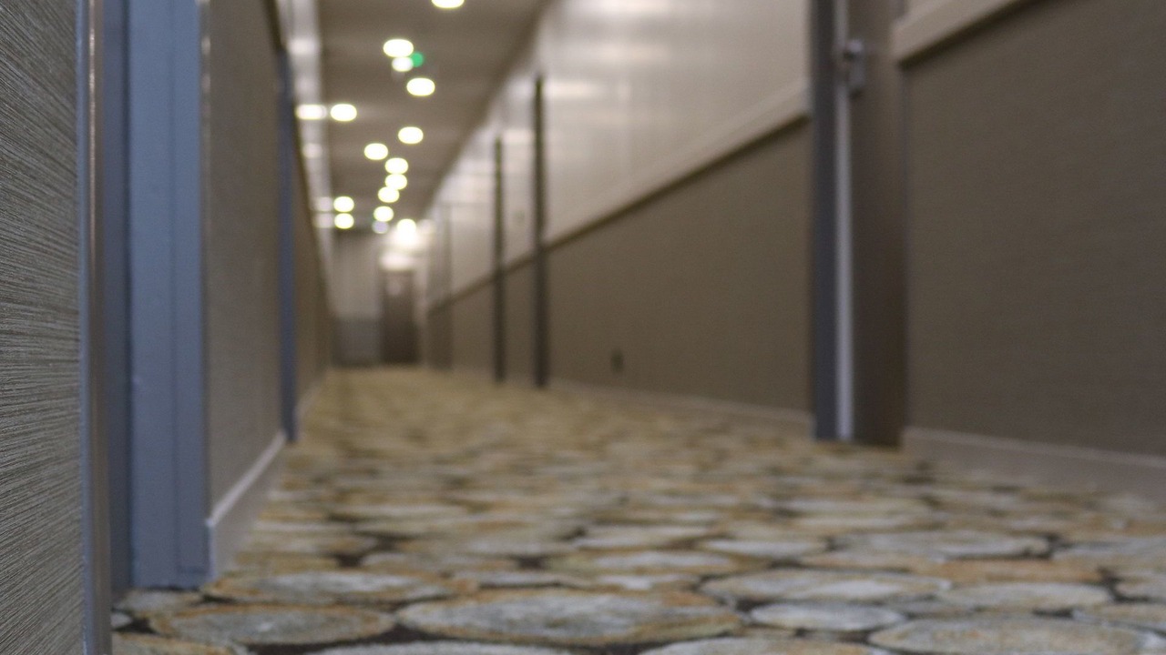 Photo of Others in Beauvoir