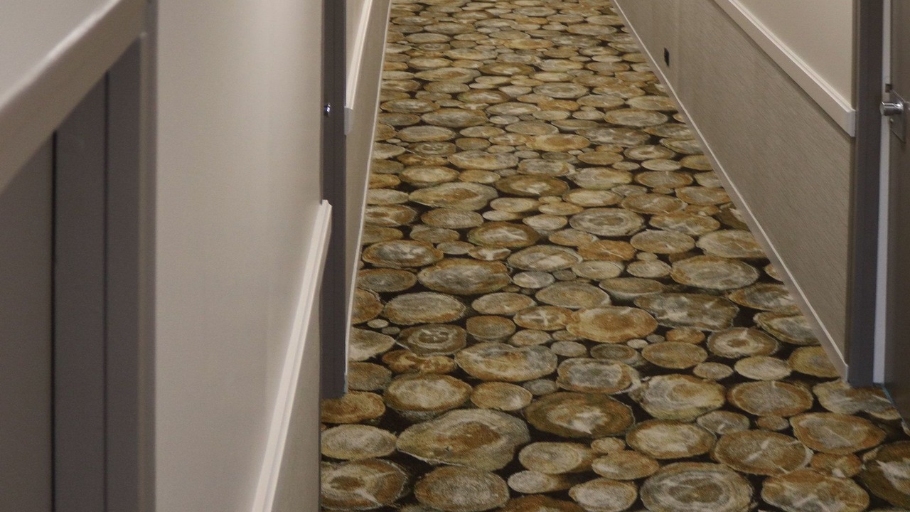 Photo of Others in Beauvoir