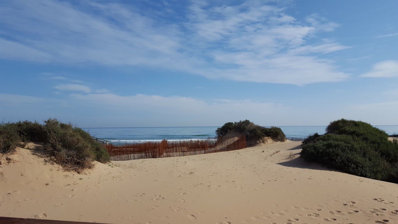 Photo of Others in Los Arenales del Sol