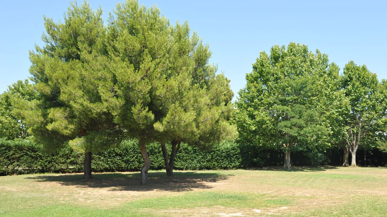 Photo of Outdoor in Mauguio
