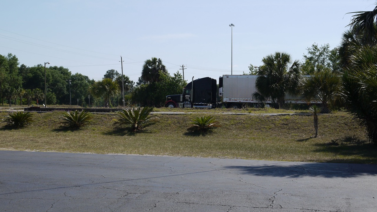 Photo of Others in White Springs