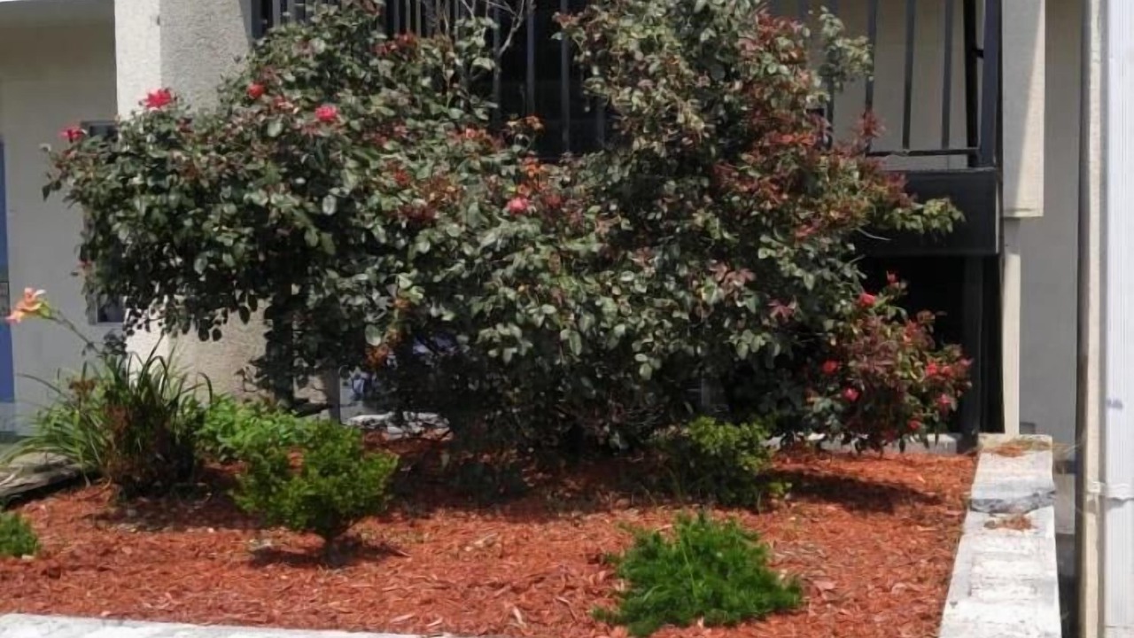 Photo of Outdoor in Fredericksburg