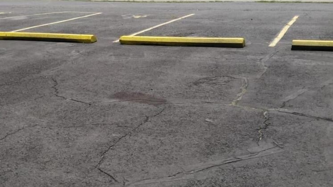 Photo of Others in Fredericksburg