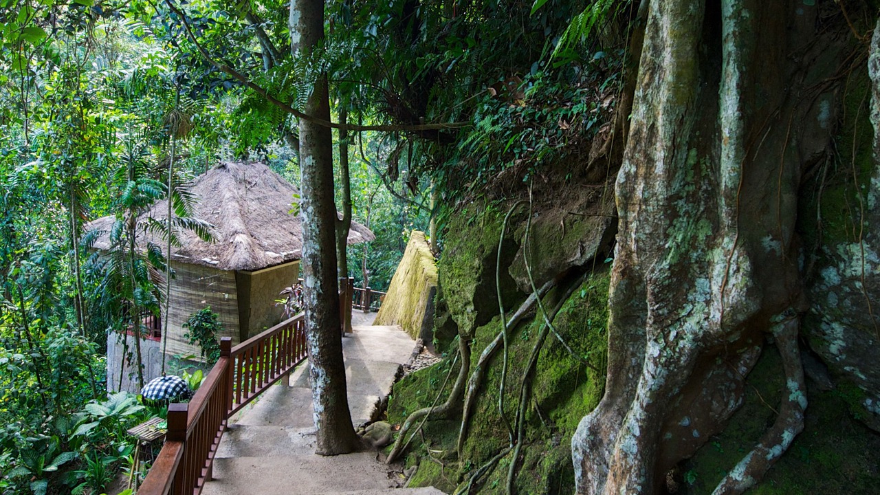 Photo of Outdoor in Petulu