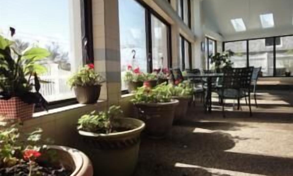 Photo of Others in Hyannis