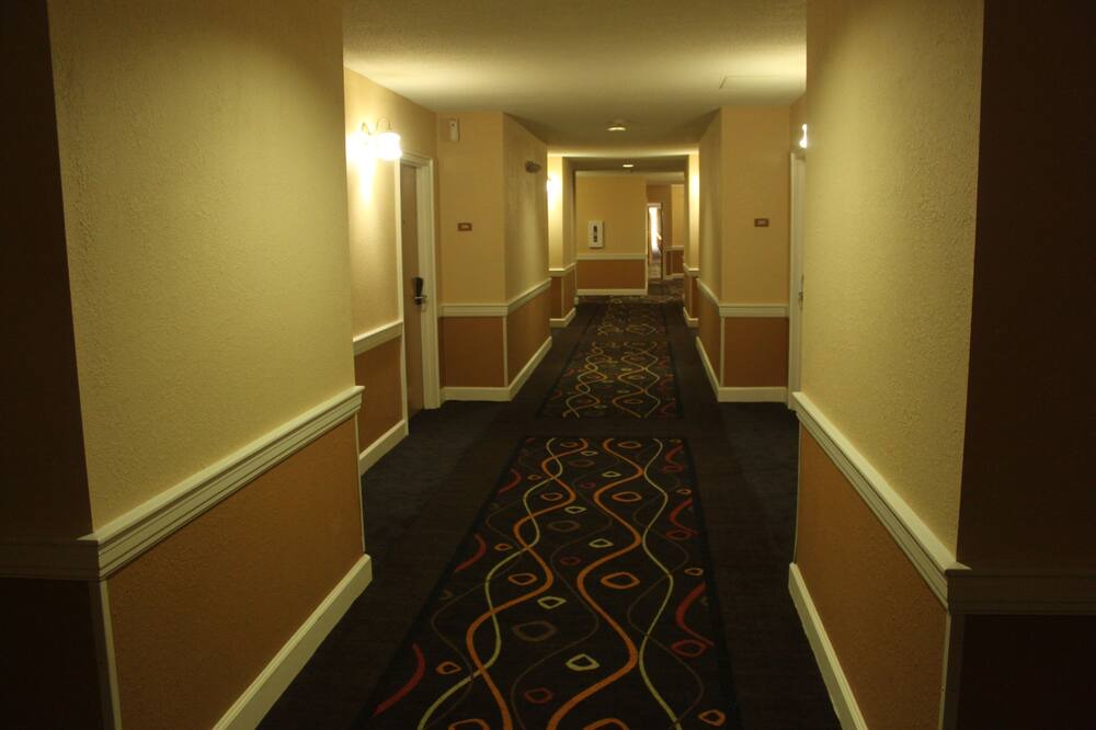 Photo of Others in Franconia