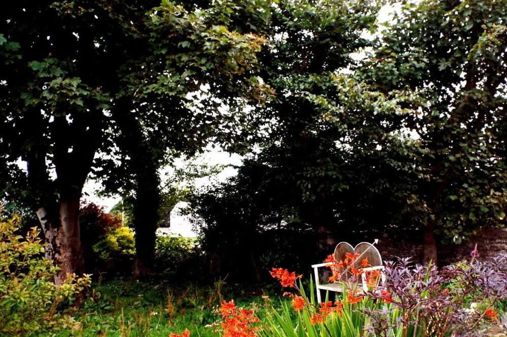 Photo of Outdoor in Lybster