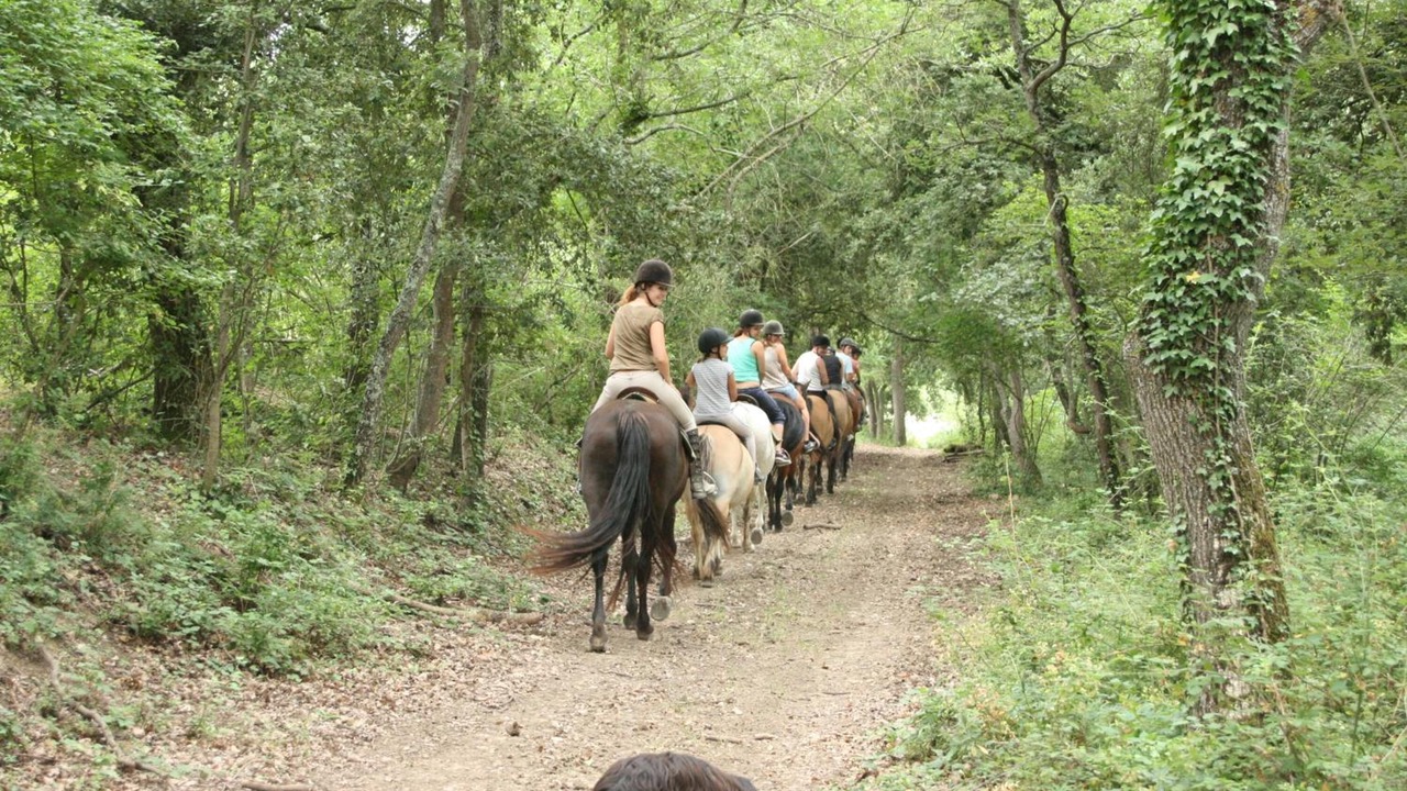 Photo of Outdoor in Leuc