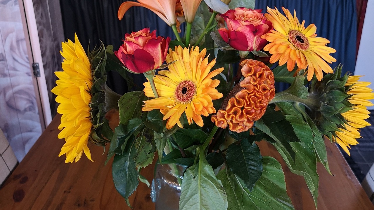 Photo of Human In Picture in Fishbourne