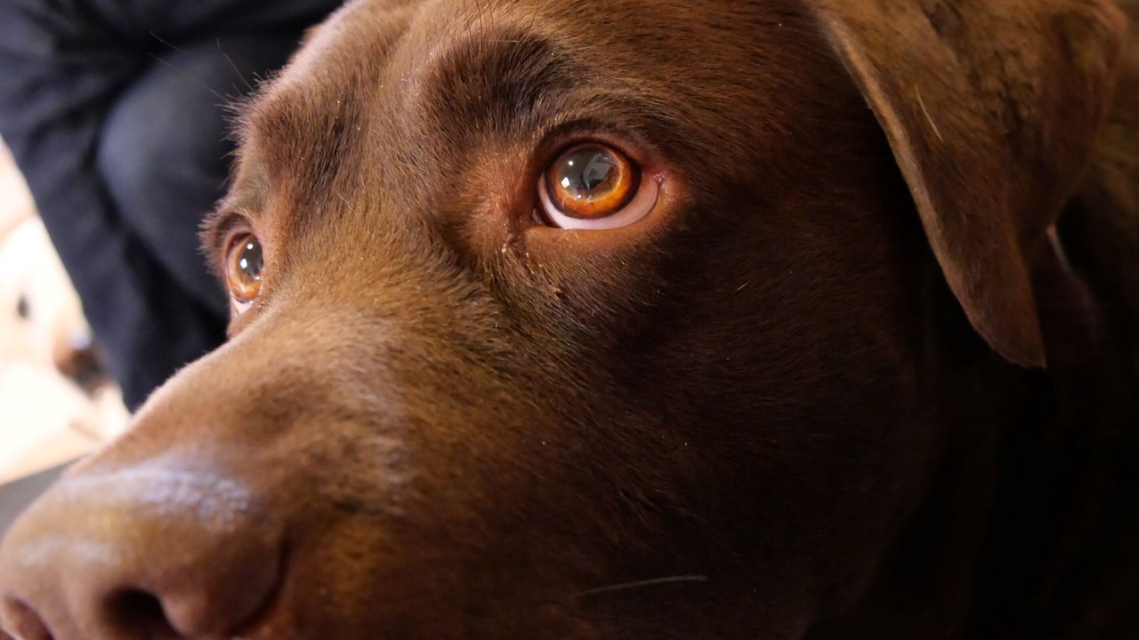 Photo of Others in Flace