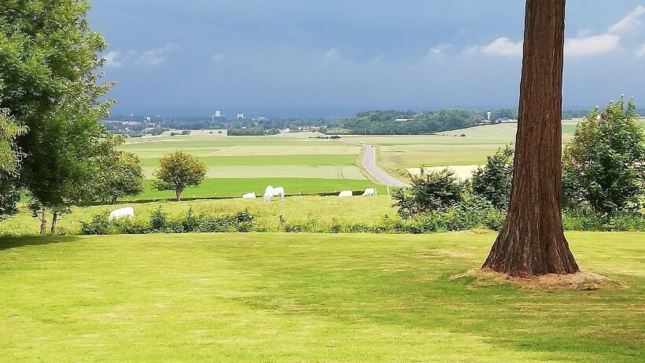 Photo of Others in Wisques