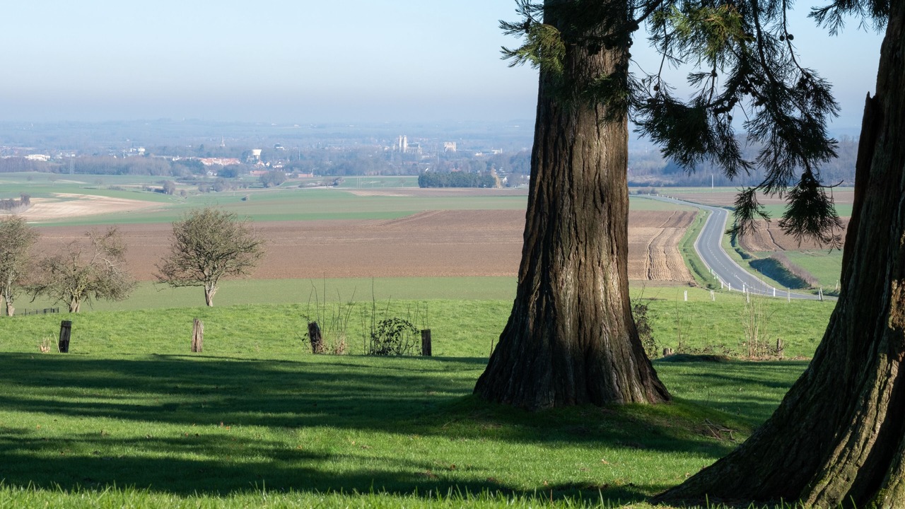 Photo of Outdoor in Wisques