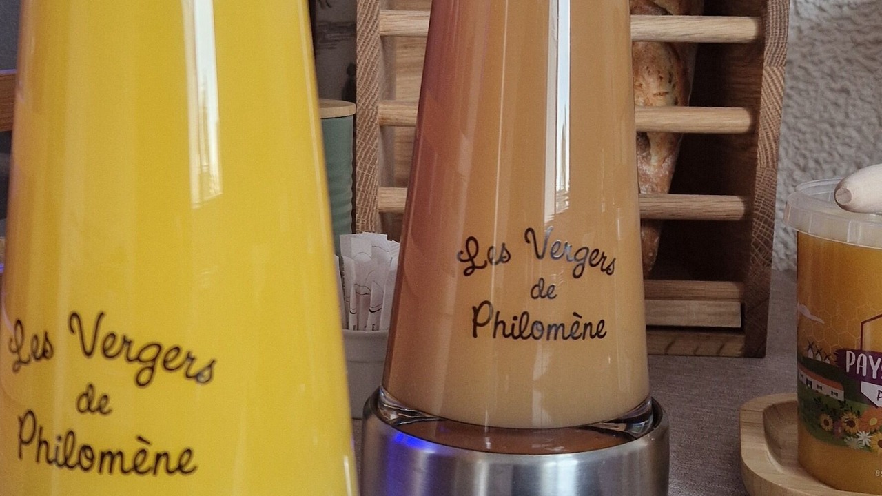 Photo of Others in Challans