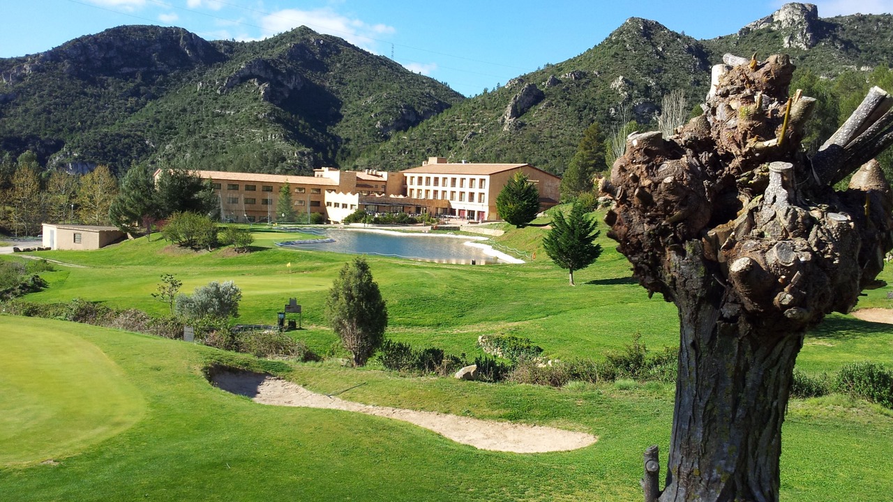 Photo of Outdoor in Vandellos
