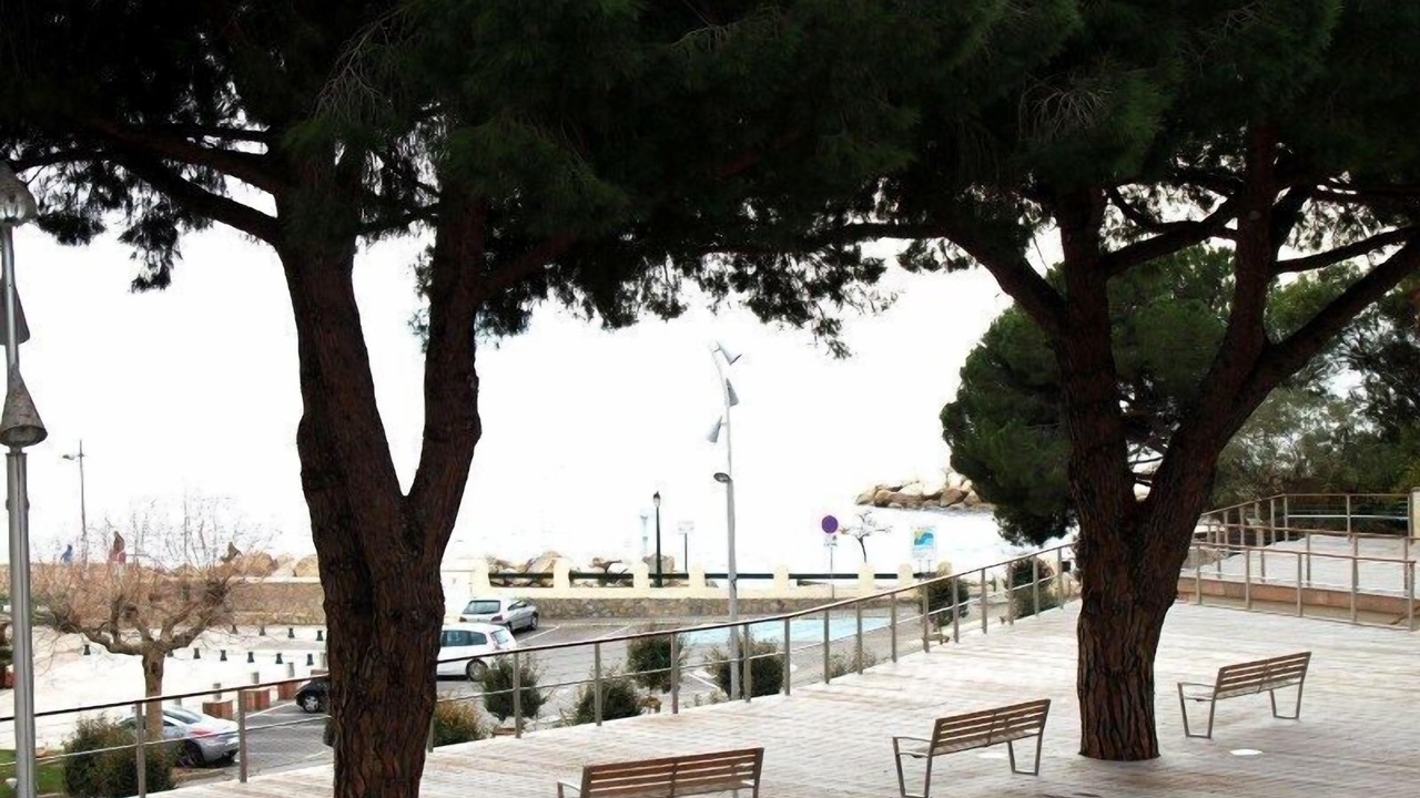 Photo of Outdoor in Carqueiranne