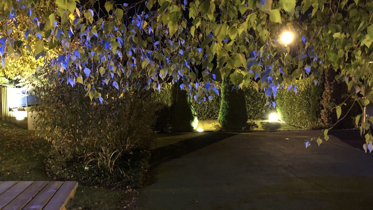 Photo of Outdoor in Cleunay