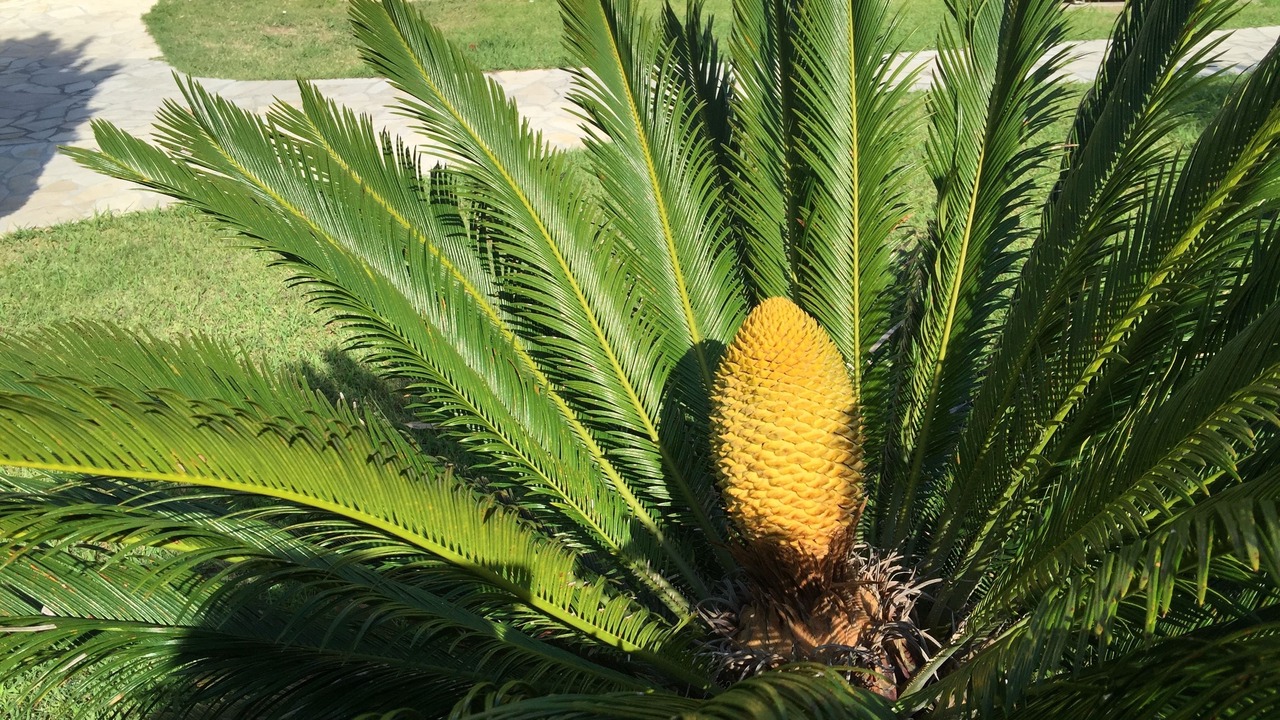 Photo of Outdoor in La Nartelle