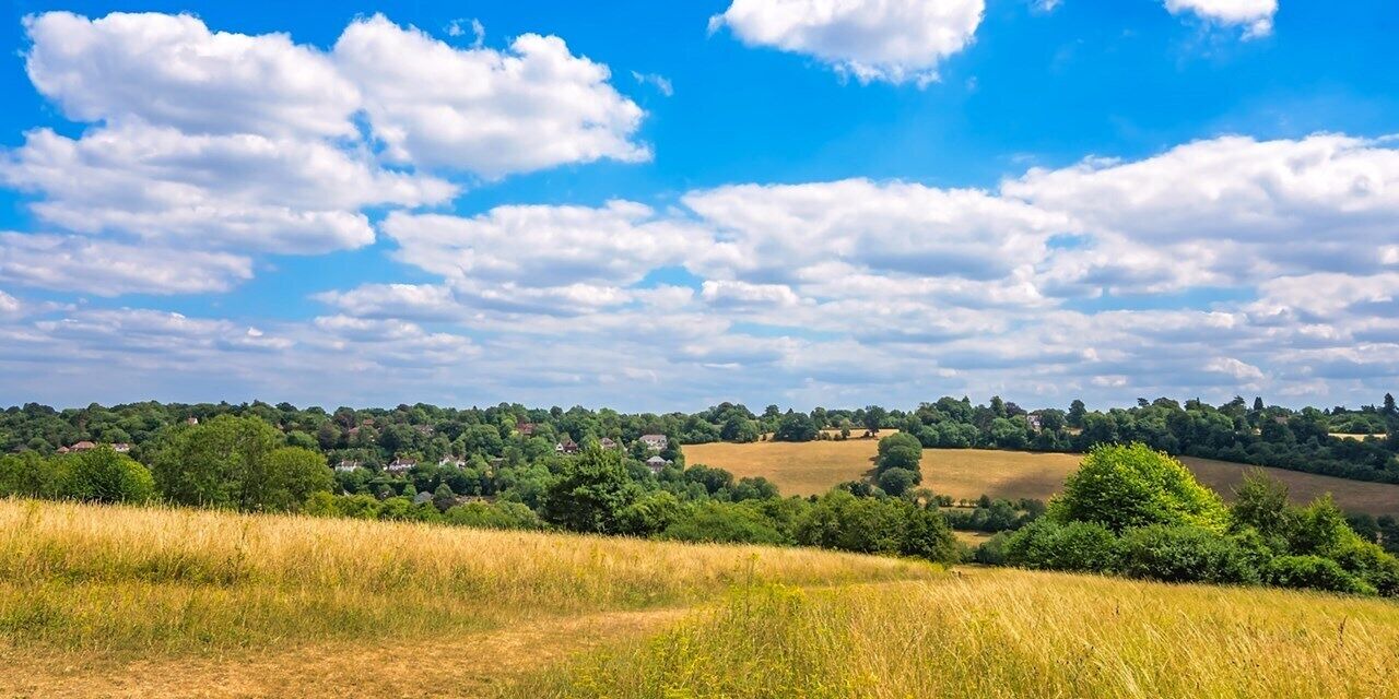 Photo of Outdoor in Betchworth