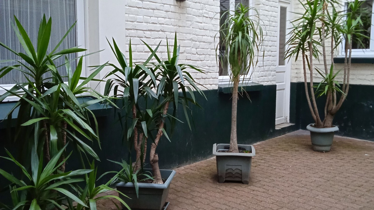 Photo of Outdoor in Gare