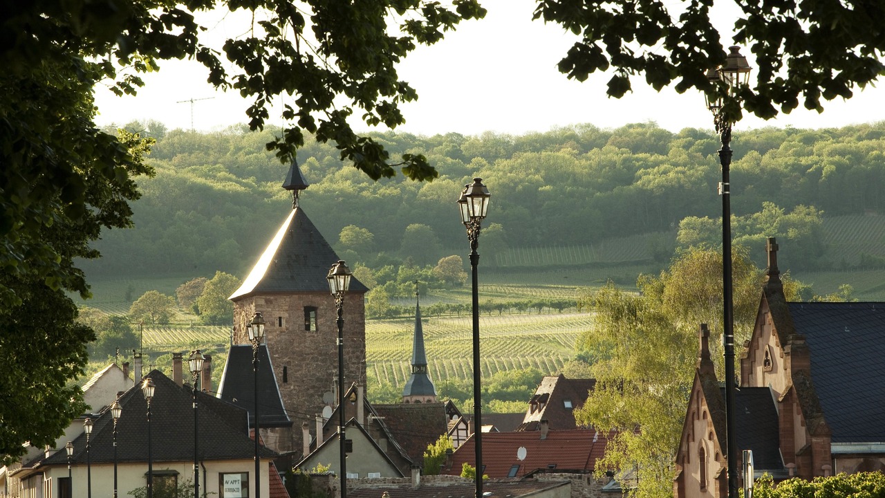 Photo of Others in Molsheim