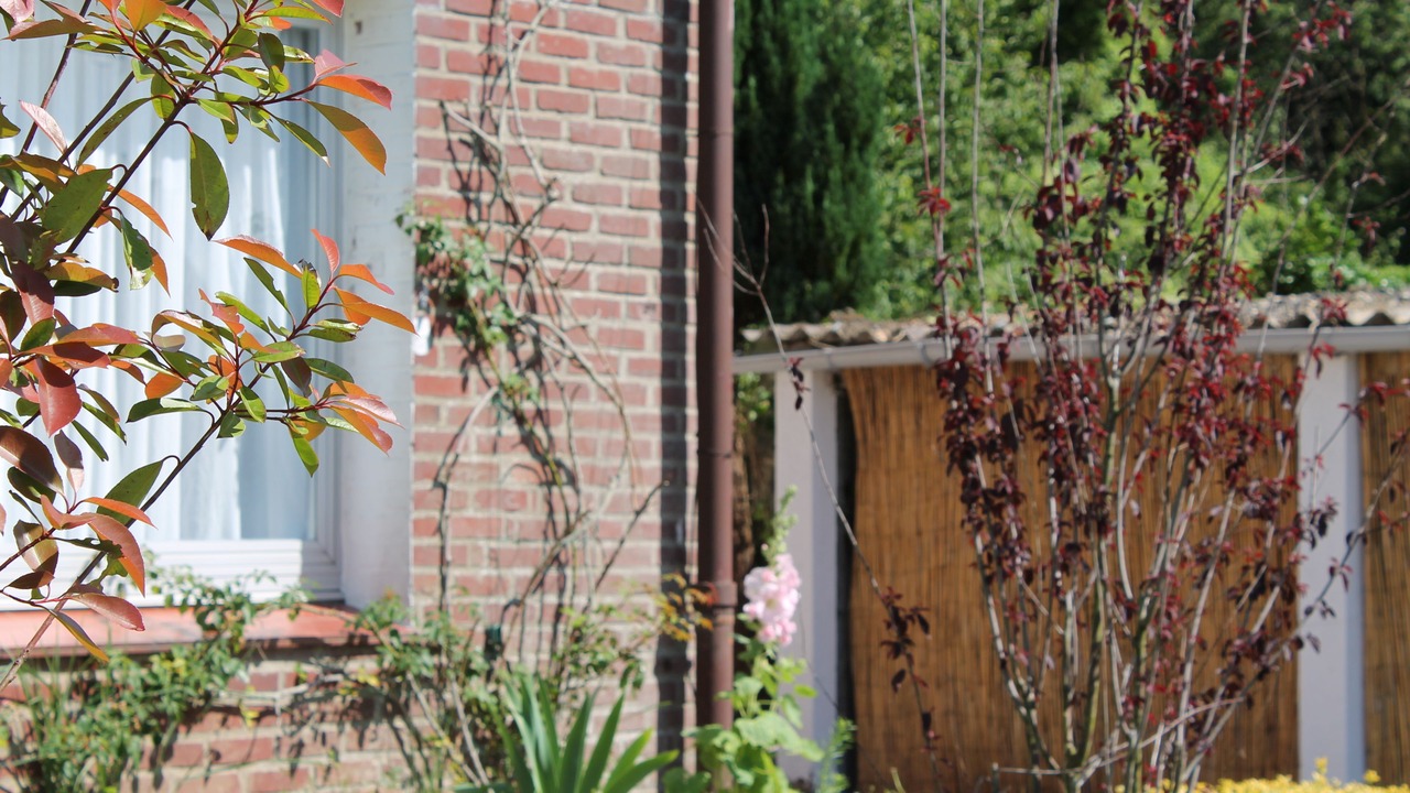 Photo of Outdoor in Camiers
