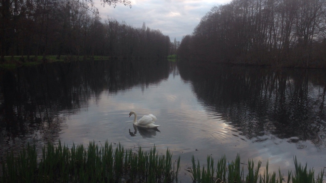 Photo of Outdoor in Cesson-Sevigne