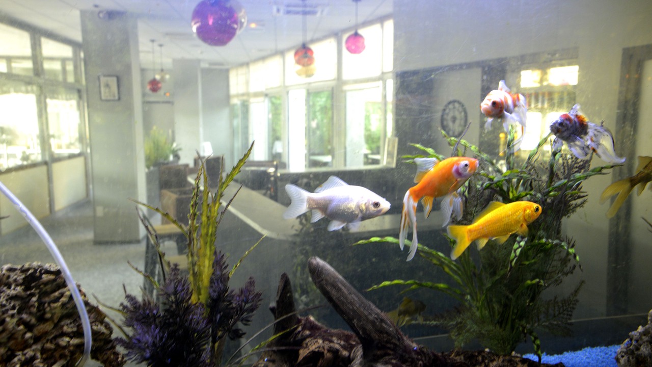 Photo of Others in Besancon