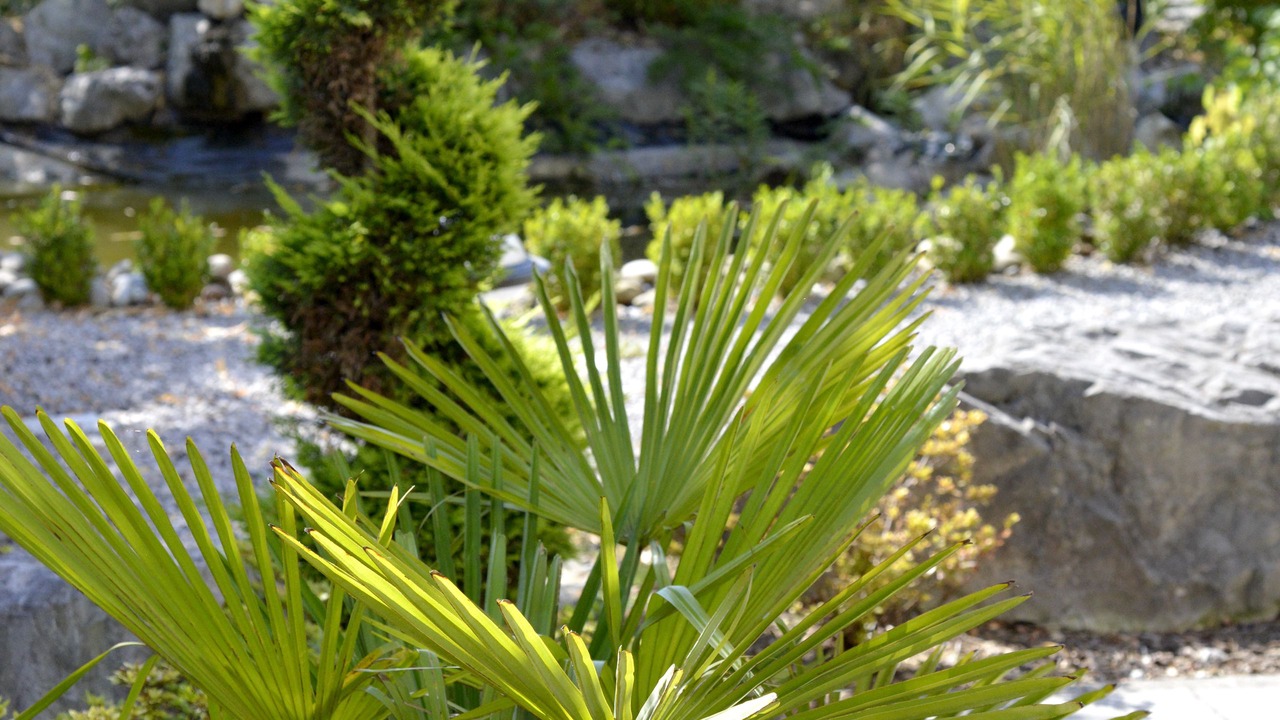 Photo of Outdoor in Besancon