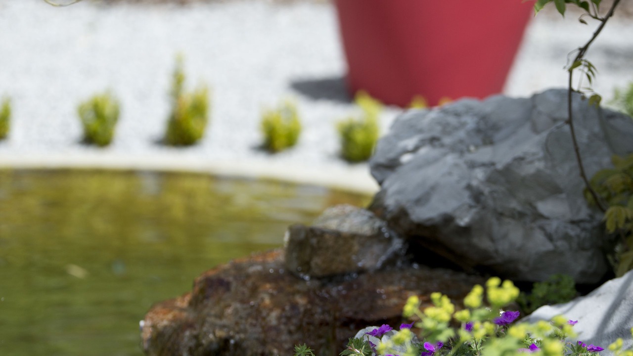 Photo of Outdoor in Besancon