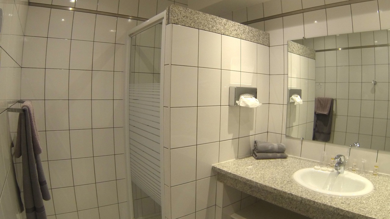 Photo of Bathroom in Aleria