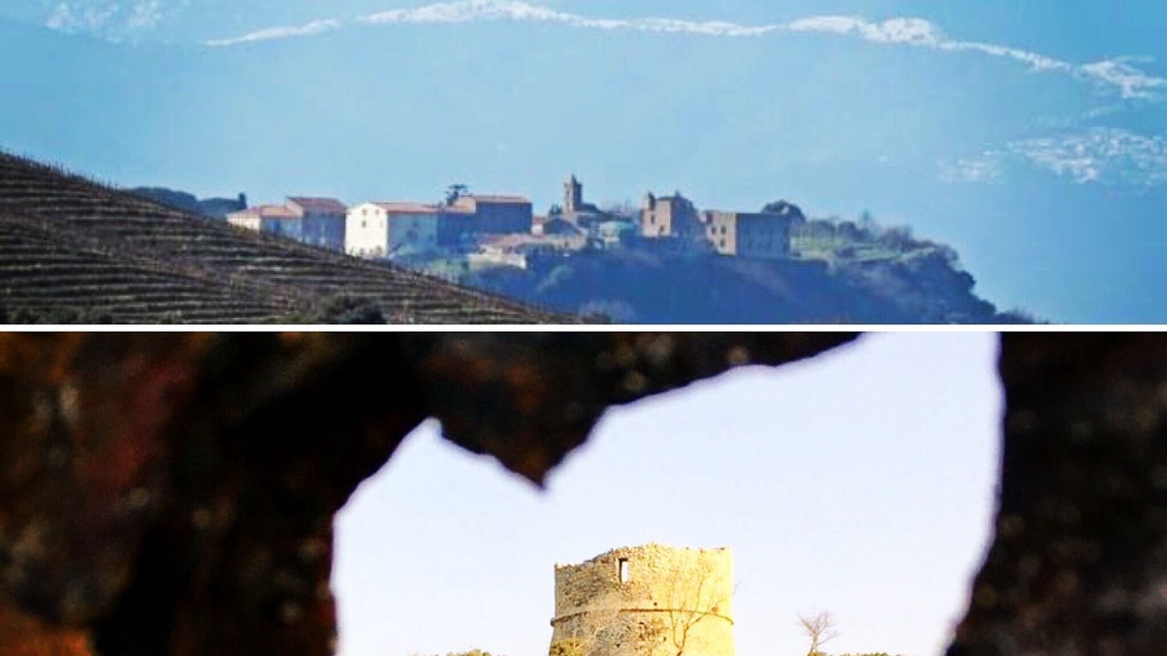 Photo of Outdoor in Aleria