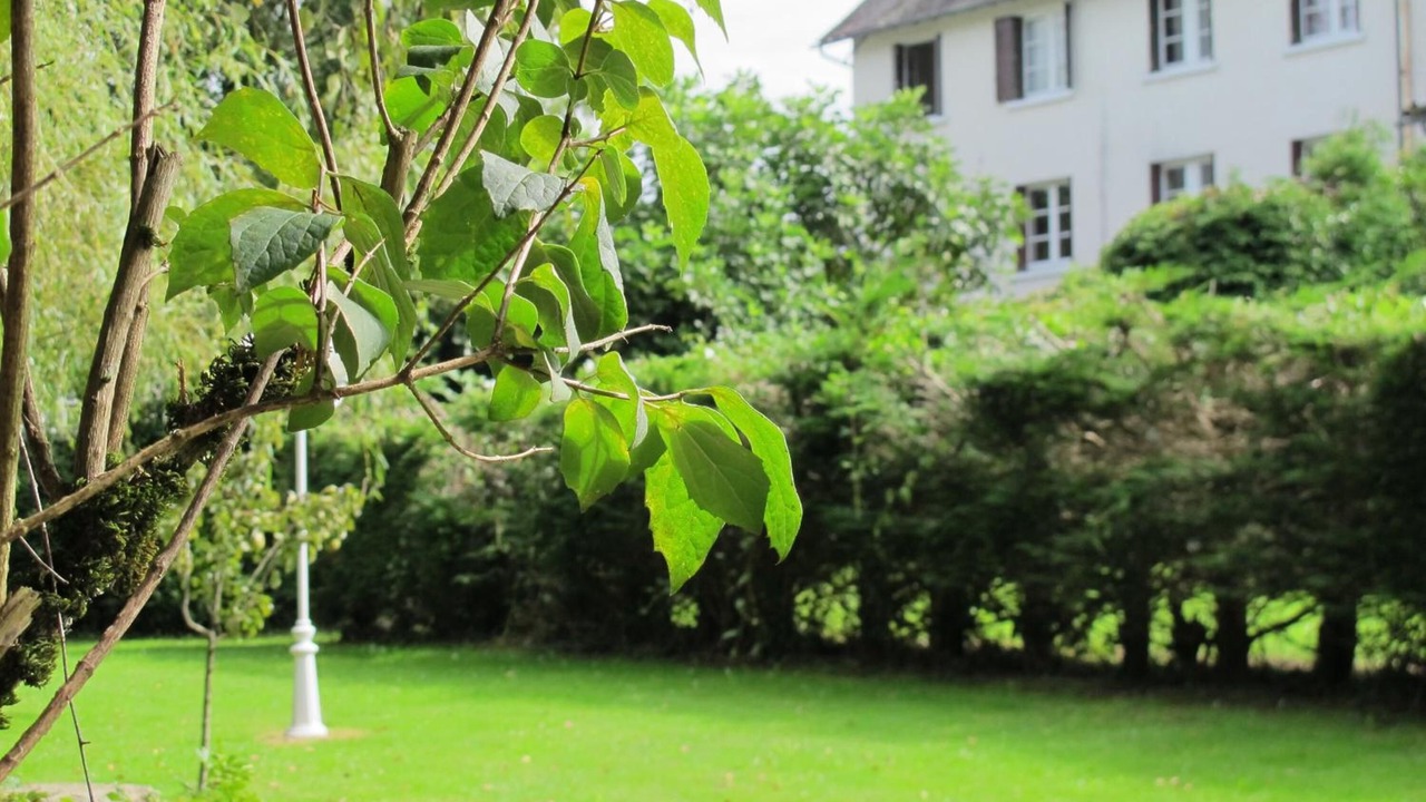 Photo of Outdoor in Chamboulive