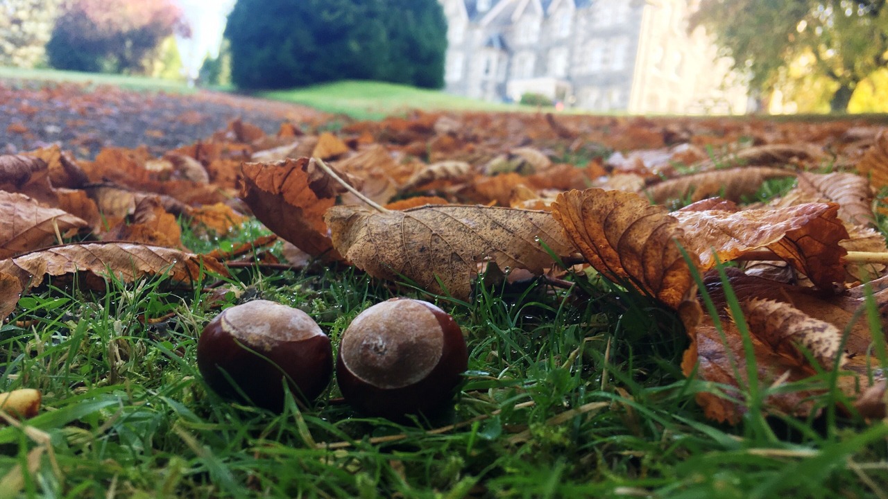 Photo of Outdoor in Marybank