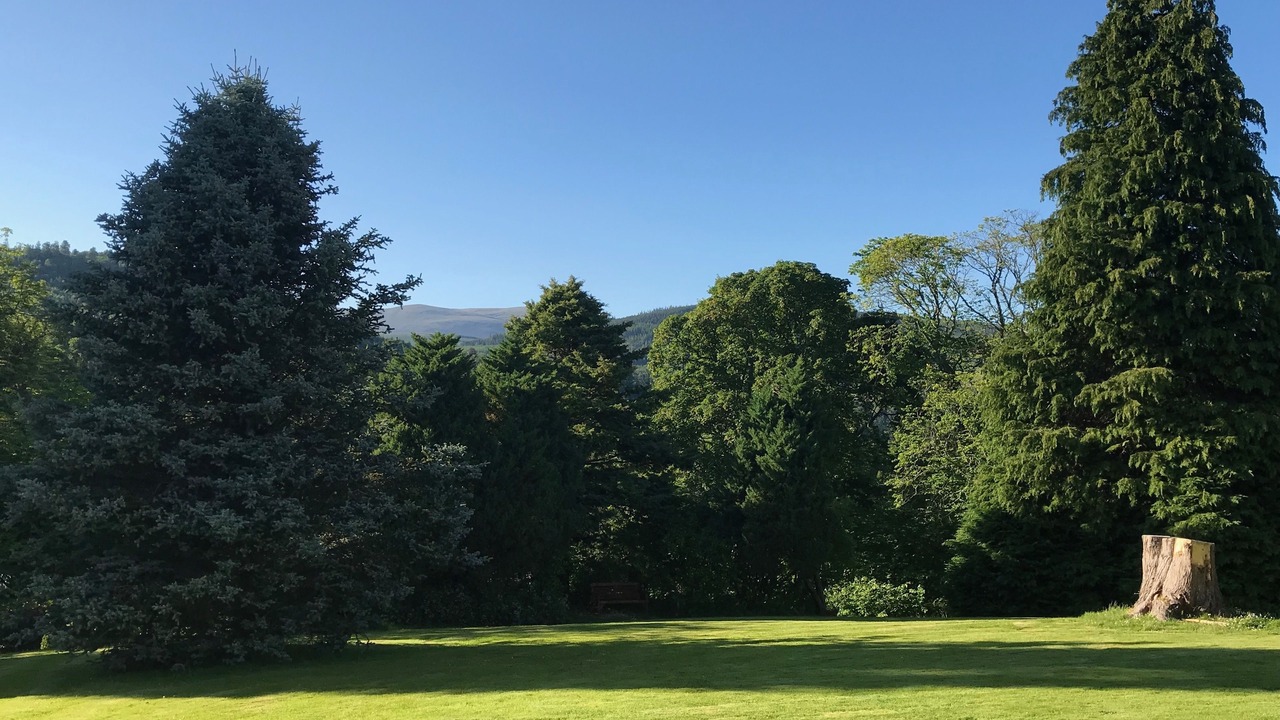 Photo of Outdoor in Marybank