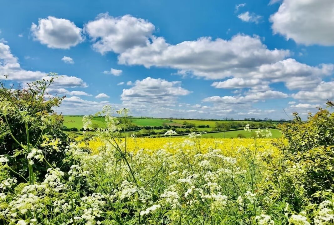 Photo of Others in Glaston