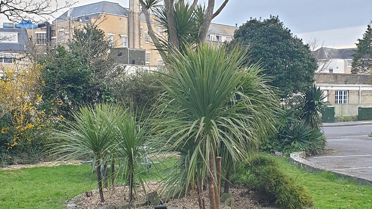 Photo of Outdoor in Bournemouth City Centre