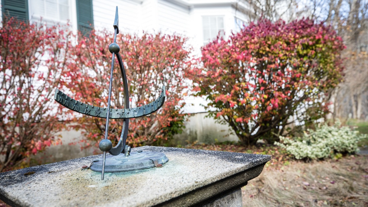 Photo of Others in Grafton