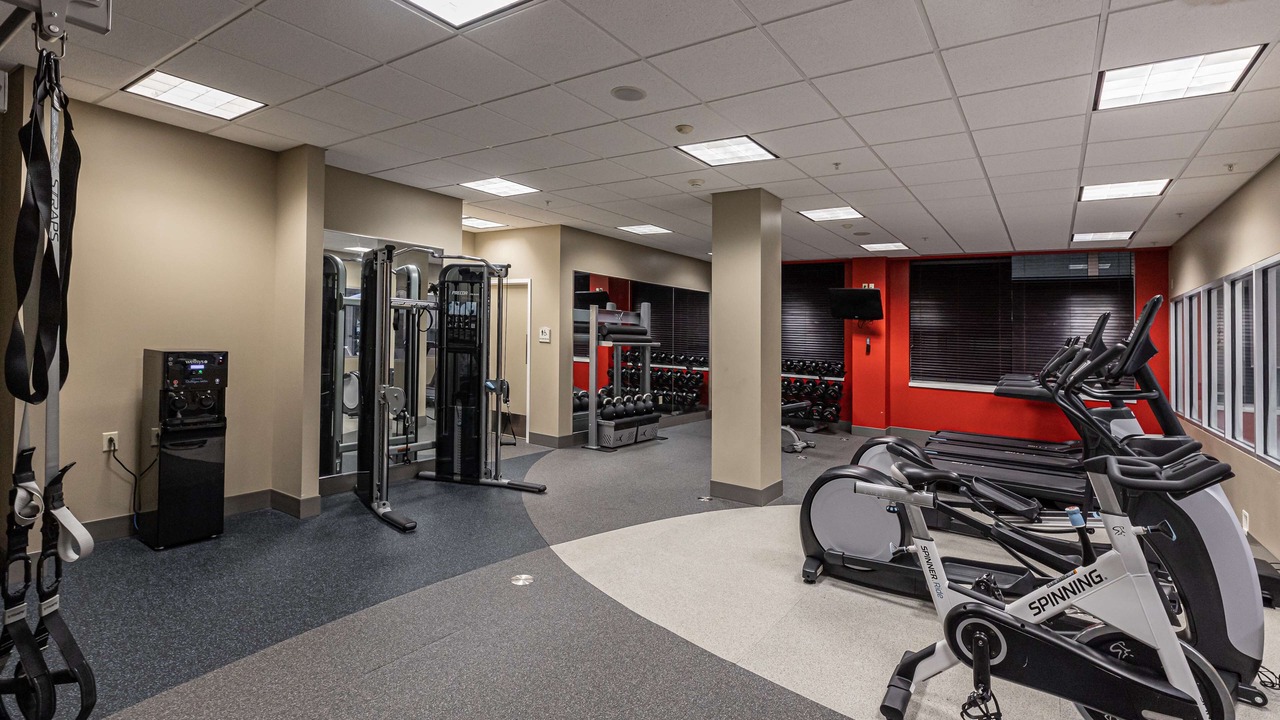 Photo of Others in Ithaca