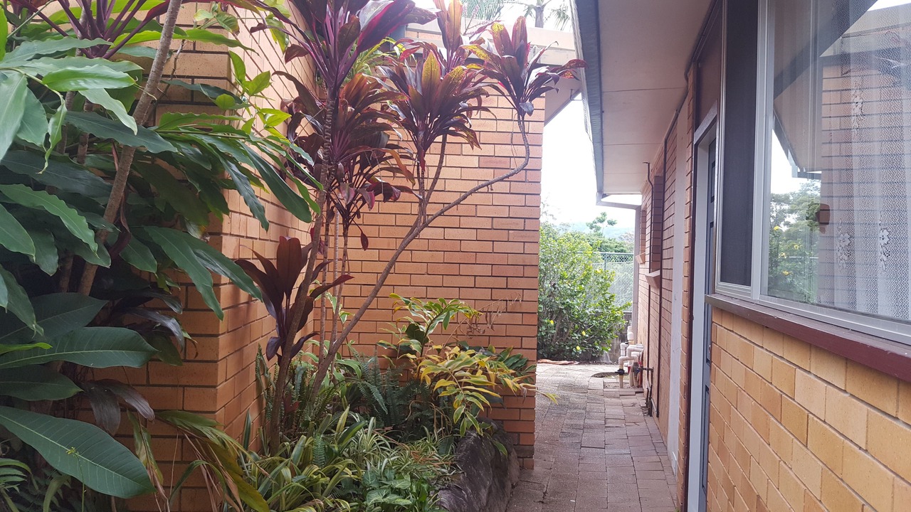 Photo of Outdoor in Coffs Harbour