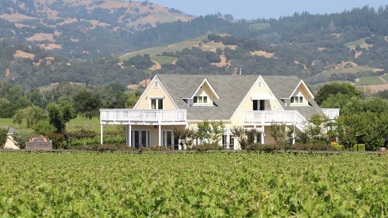 Photo of Outdoor in Geyserville