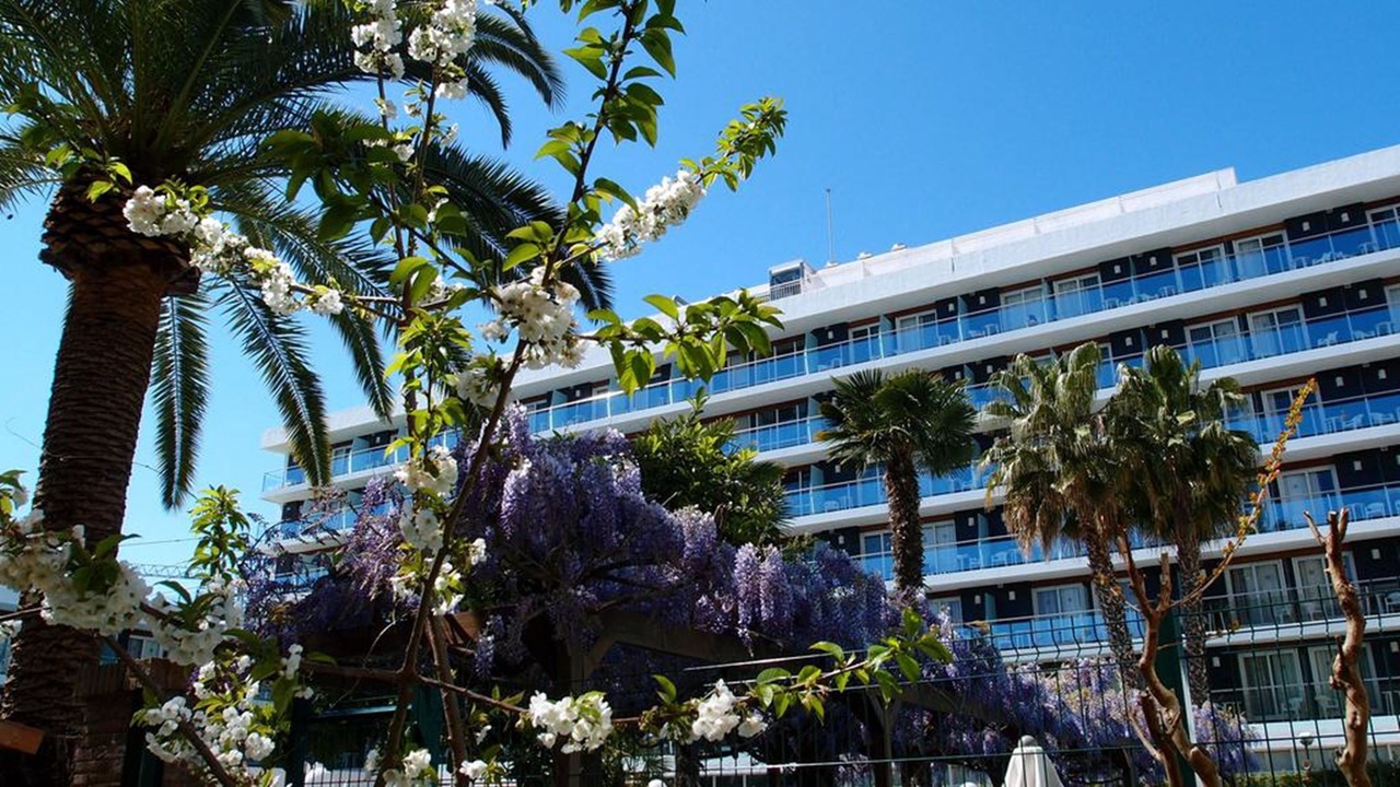 Photo of Outdoor in Lloret Town Center