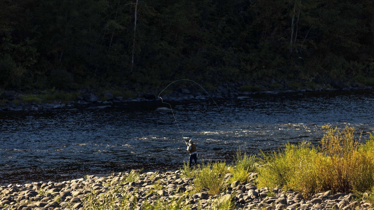 Photo of Others in Ahsahka